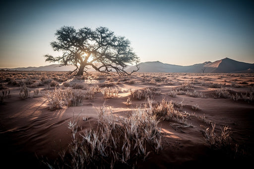 Fototapete Sehnsucht Afrika