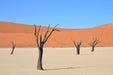 Fototapete Sossusvlei Namibia