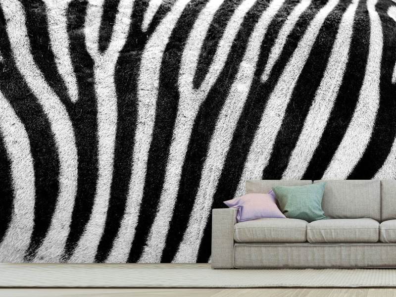 Fototapete Streifen vom Zebra