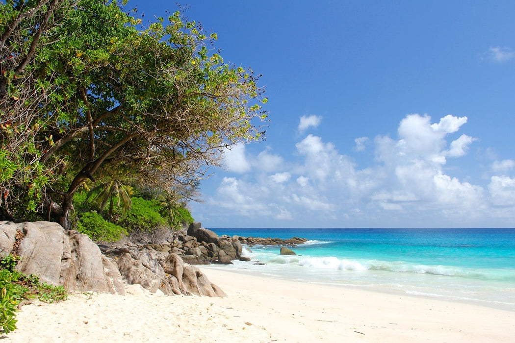 Fototapete Traumstrand Seychellen