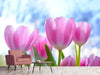 Fototapete Tulpen in der Natur - Tag2 by Suzenna