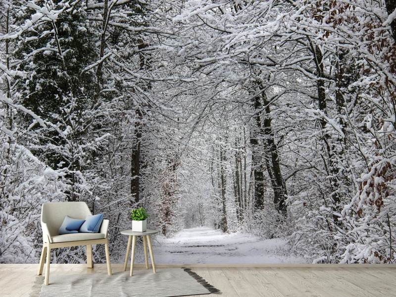 Fototapete Verzauberter Winterwald