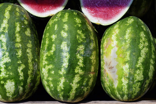 Fototapete Wassermelonen