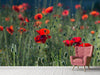 Fototapete Wilder Mohn - Tag2 by Suzenna