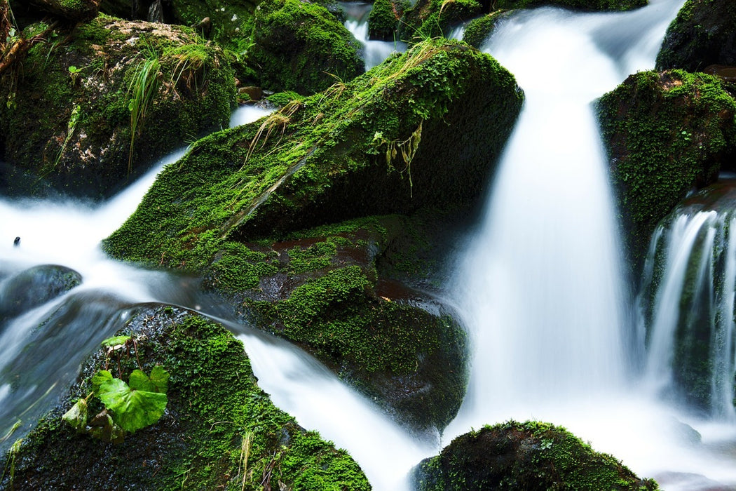 Fototapete Wilder Wasserfall