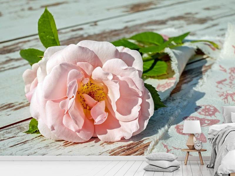 Papier peint photo rose sauvage en rose