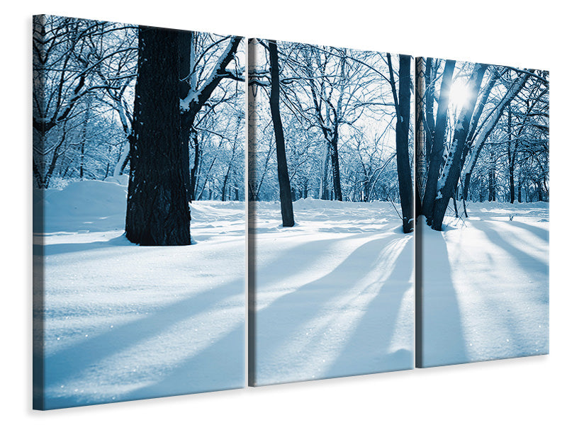 Leinwandbild 3-teilig Der Wald ohne Spuren im Schnee