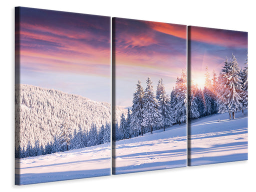 Leinwandbild 3-teilig Winterlandschaft