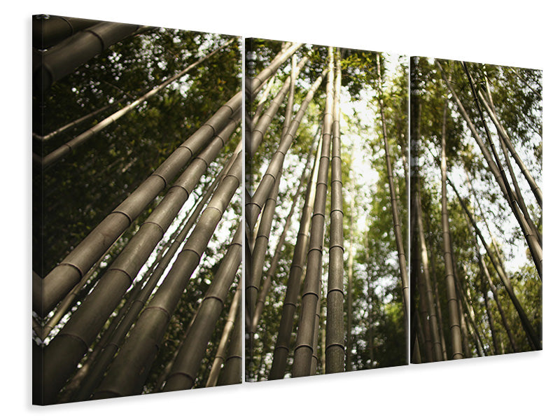 Leinwandbild 3-teilig Arashiyama Japan