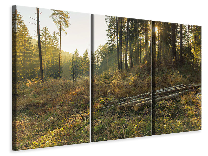 Leinwandbild 3-teilig Arbeiten im Wald