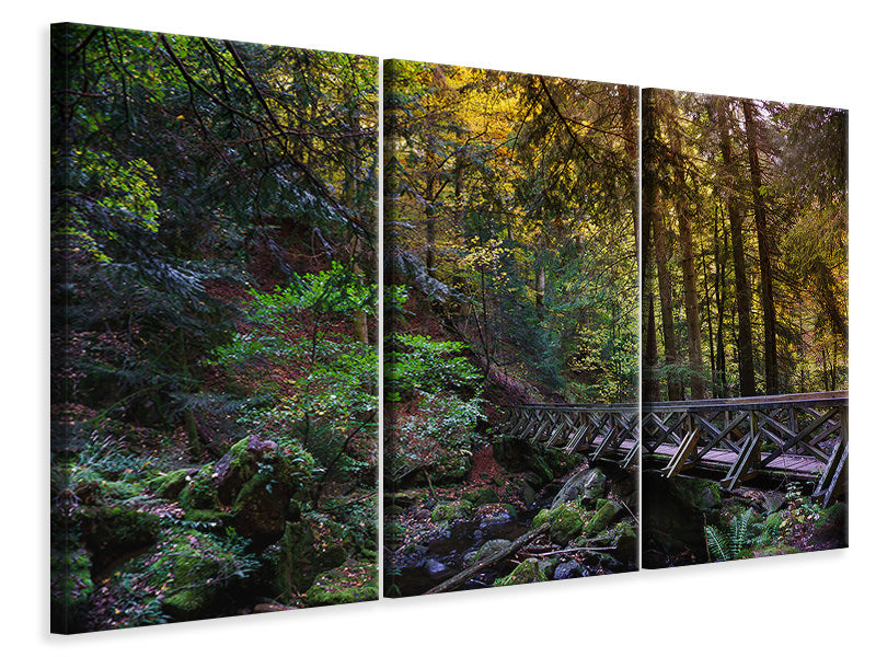 Leinwandbild 3-teilig Die Wald Brücke