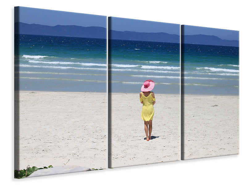 Leinwandbild 3-teilig Ein Spaziergang am Strand