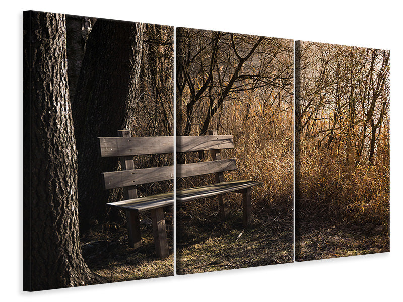 Leinwandbild 3-teilig Holzbank im Wald