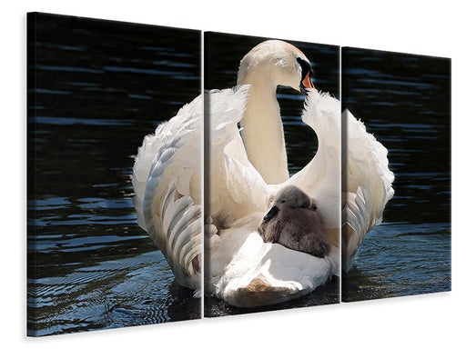 Leinwandbild 3-teilig Mama und Baby Schwan