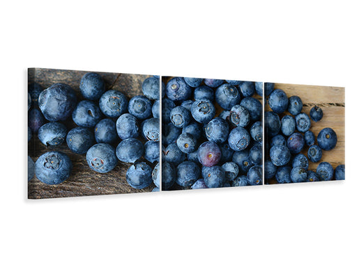 Panorama Leinwandbild 3-teilig Frische Heidelbeeren