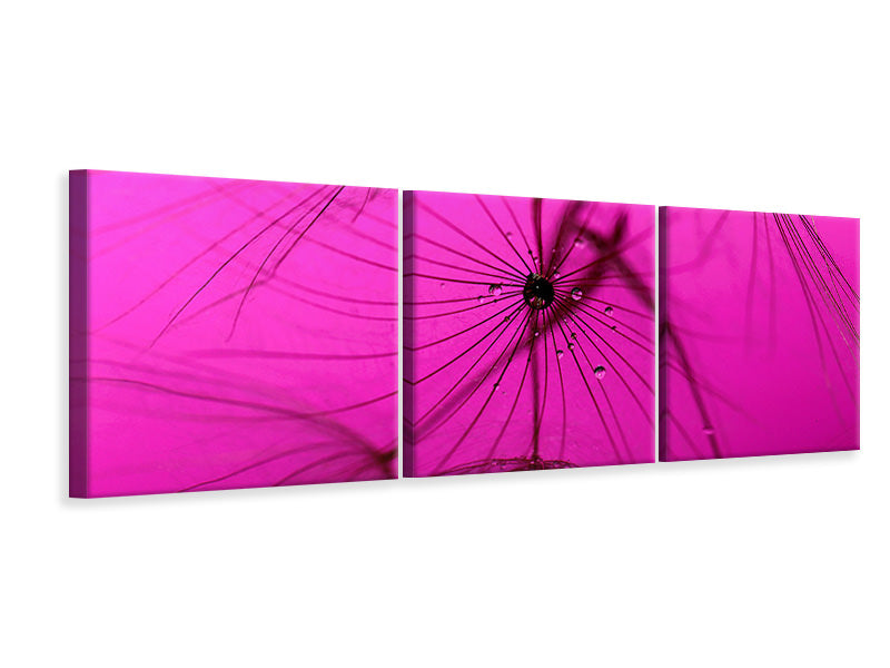 Panorama Leinwandbild 3-teilig Pusteblume in pink