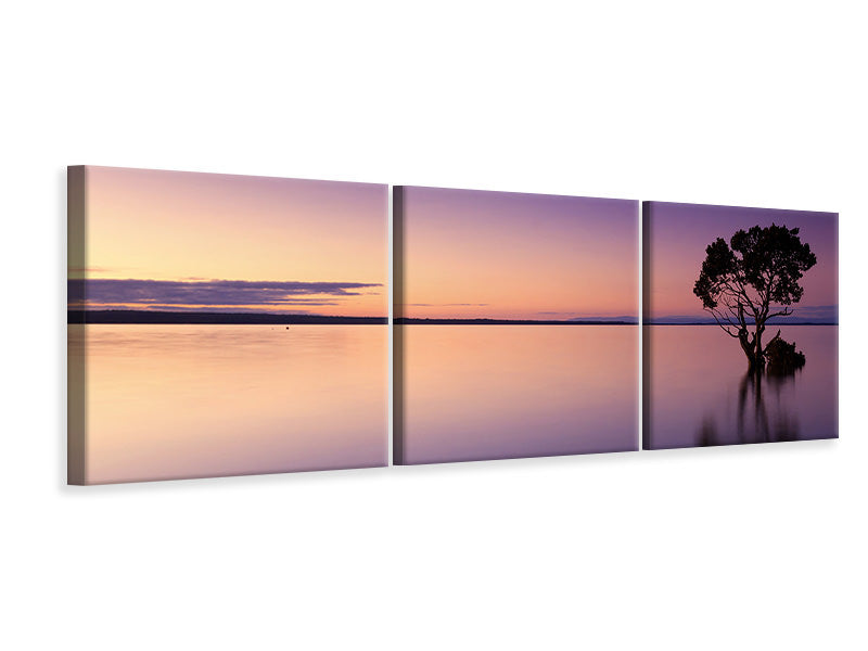 Panorama Leinwandbild 3-teilig Sonnenuntergang am Baum im Wasser