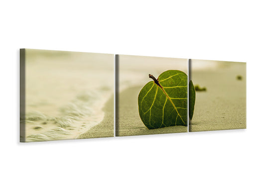 Panorama Leinwandbild 3-teilig Strand-Blatt