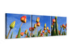 Panorama Leinwandbild 3-teilig Tulpen ragen zum Himmel