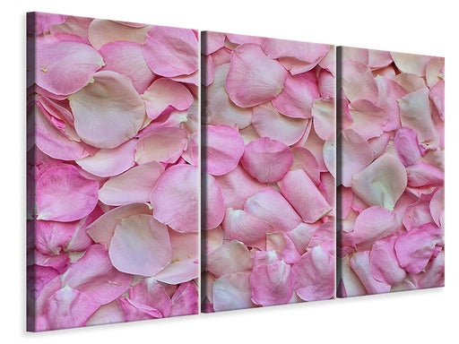 Leinwandbild 3-teilig Rosenblüten in rosa