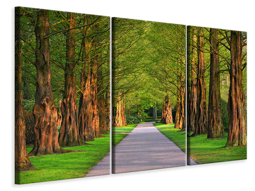 Leinwandbild 3-teilig Schöne Allee in der Natur