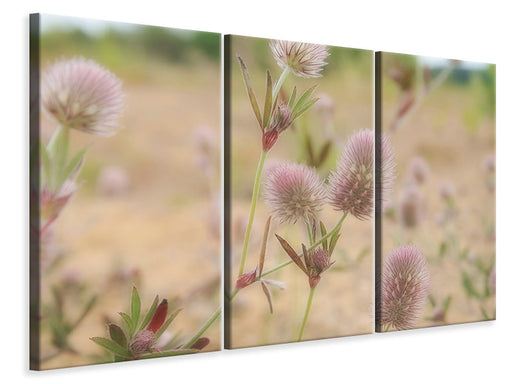 Leinwandbild 3-teilig Zarte Blumen