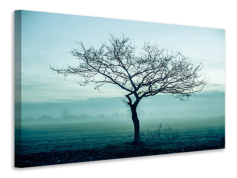 Leinwandbild Der Zauberbaum