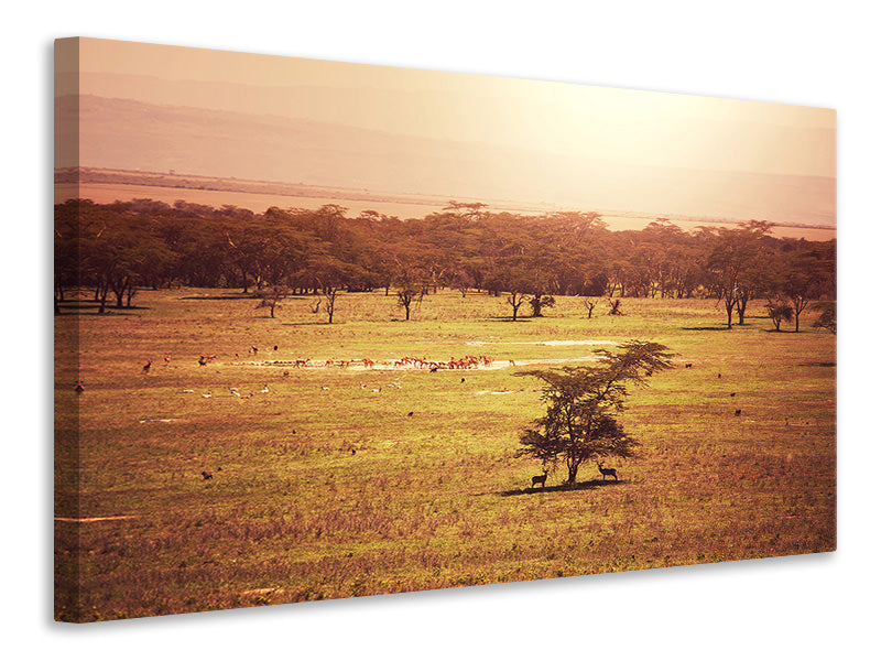 Leinwandbild Malerisches Afrika