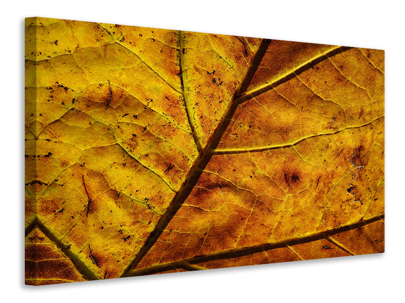 Leinwandbild Das Herbst Blatt