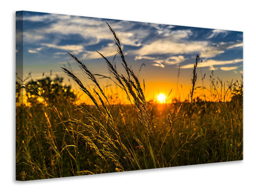 Leinwandbild Der Sonnenuntergang auf dem Feld