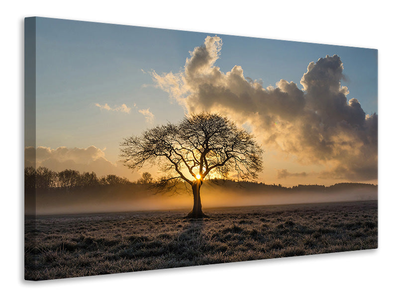 Leinwandbild Ein einsamer Baum