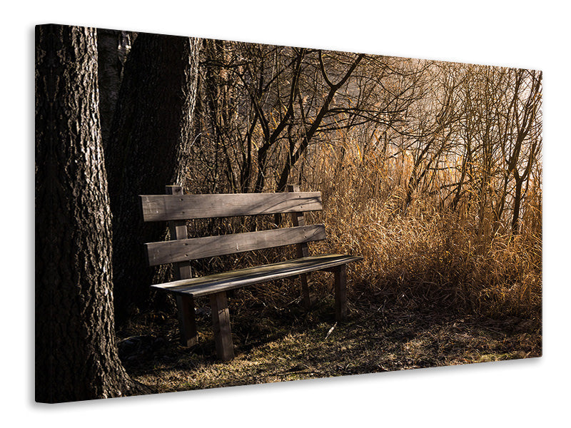 Leinwandbild Holzbank im Wald