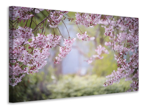 Leinwandbild Im schönen Frühling