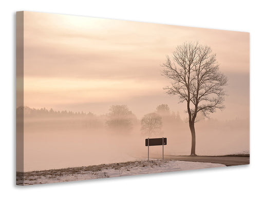 Leinwandbild Mystische Stimmung in der Natur