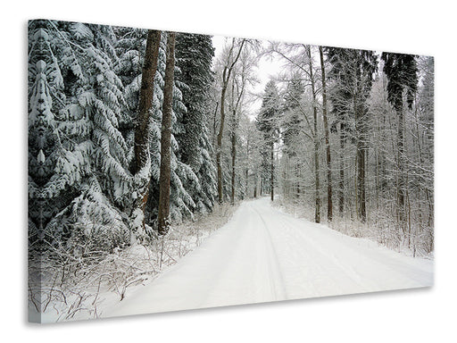 Leinwandbild Schnee im Wald