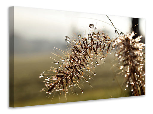 Leinwandbild Tropfen der Natur