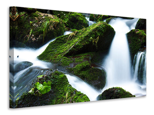 Leinwandbild Wilder Wasserfall