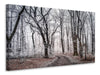 Leinwandbild Winterlicher Wald