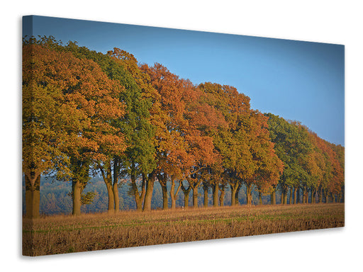 Leinwandbild Wunderschöner Herbst