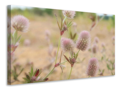 Leinwandbild Zarte Blumen