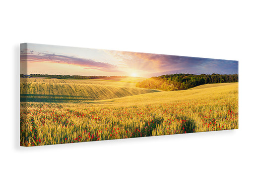 Leinwandbild Panorama Ein Blumenfeld bei Sonnenaufgang