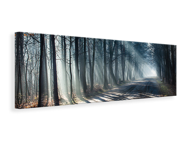 Leinwandbild Panorama Wald im Lichtstrahl