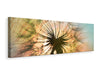 Leinwandbild Panorama XXL Pusteblume