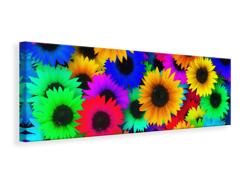 Leinwandbild Panorama Bunte Sonnenblumen