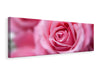 Leinwandbild Panorama Rosen Makro