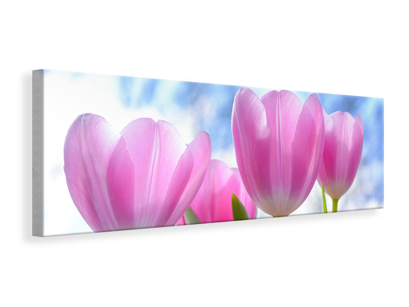 Leinwandbild Panorama Tulpen in der Natur