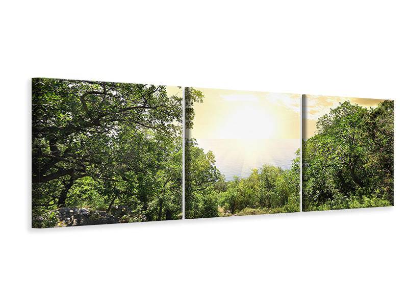 Panorama 3-piece canvas picture At the end of the forest