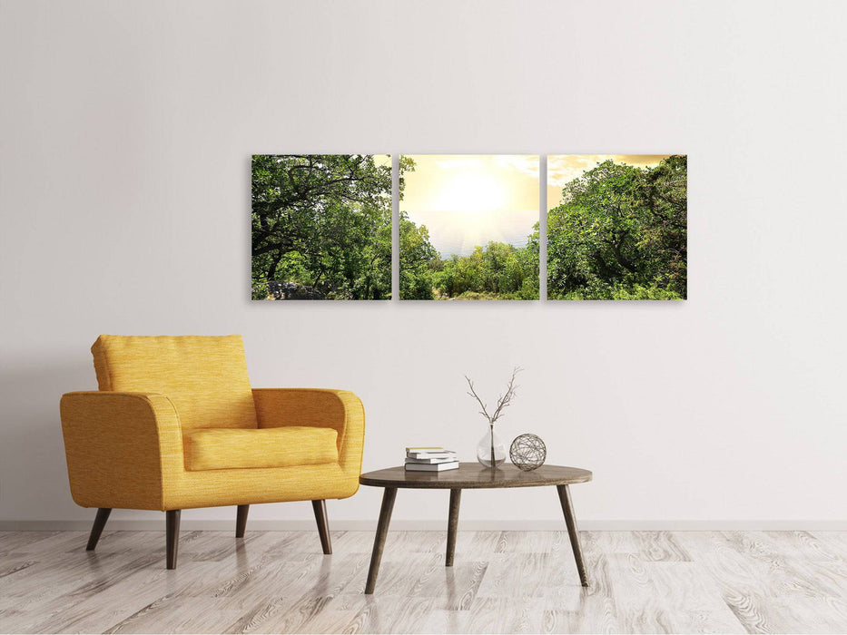 Panorama 3-piece canvas picture At the end of the forest