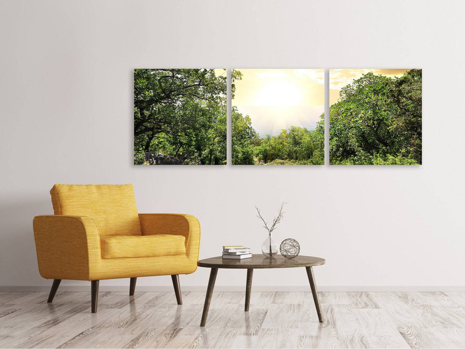 Panorama 3-piece canvas picture At the end of the forest