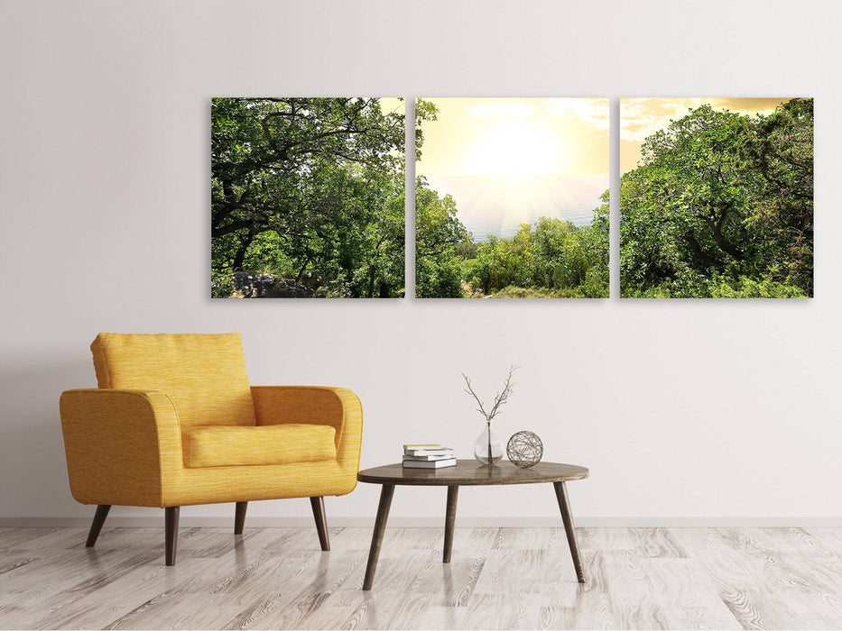 Panorama 3-piece canvas picture At the end of the forest